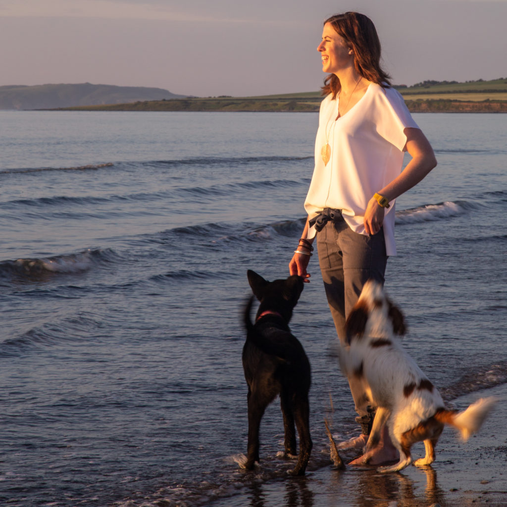 Beach, dogs, water